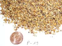 Walnuts comminuted with a 4 mm sieve and open grinding chamber of cutting mill after comminution of walnuts.